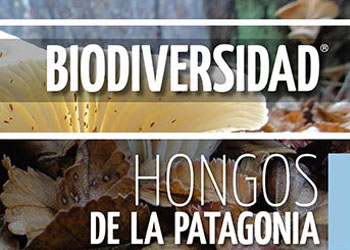 FBNA Hongos Patagonia